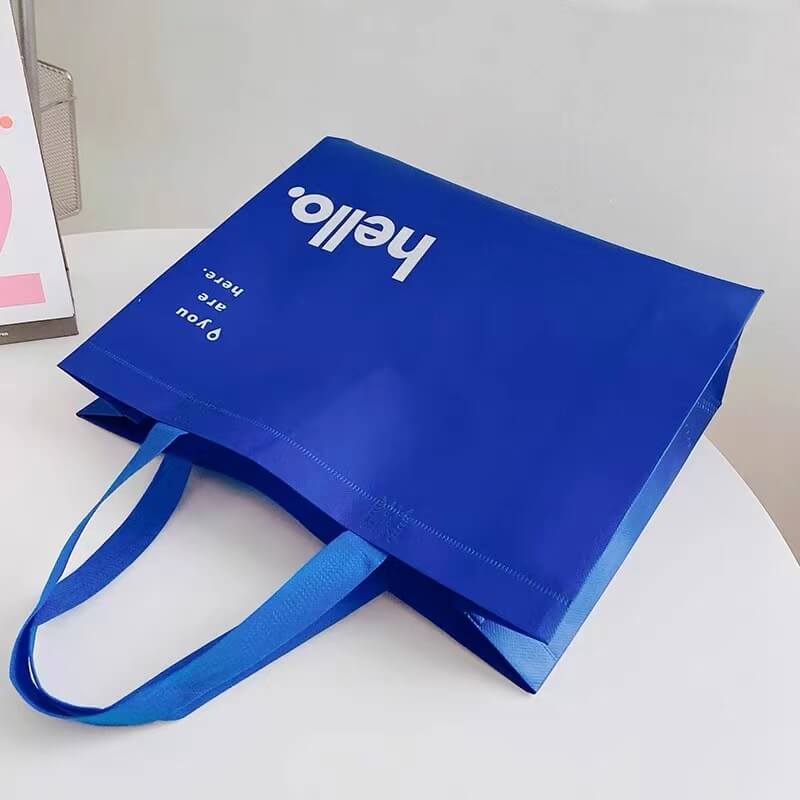 Custom Printed wholesales cheap Recycle Bag ultrasonic Non Woven with Logo Ultrasonic Bag gift bag
