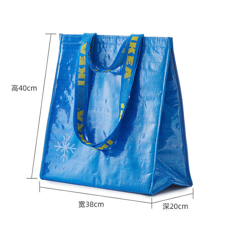 Fashionable Durable Pouch Tote Promotional Food Insulated pp Woven Cooler Bag