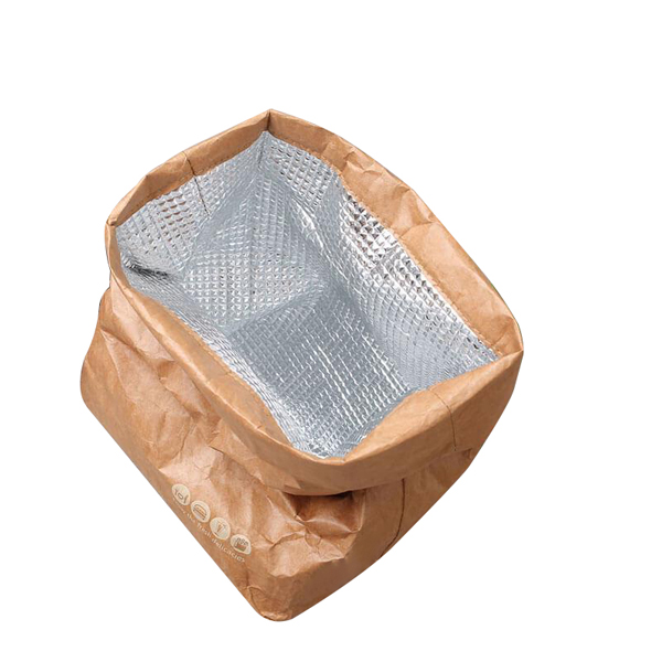 Custom Logo Eco Washable Insulated Thermal Tyvek Cooler Bag Zipper For Picnic