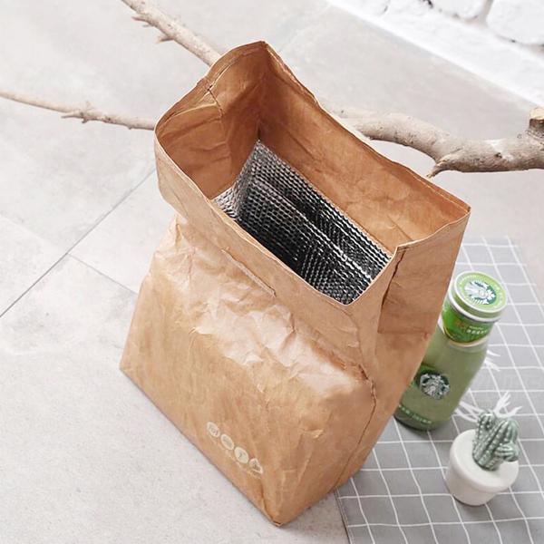 Custom Logo Eco Washable Insulated Thermal Tyvek Cooler Bag Zipper For Picnic