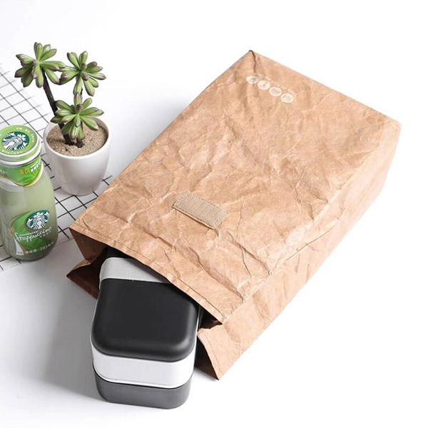 Custom Logo Eco Washable Insulated Thermal Tyvek Cooler Bag Zipper For Picnic